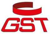 GS&T Global Systems & Technologies